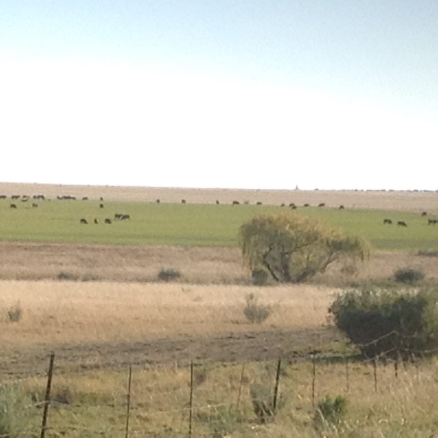 Commercial Property for Sale in Thaba Nchu Free State